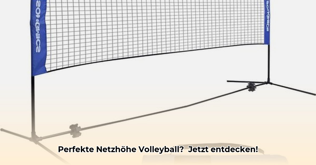 hoogte-volleybalnet